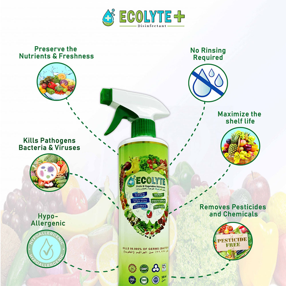 Ecolyte Fruits and Vegetables Disinfectant 500ml Pack of 24 Pcs I 100% Natural Action, Removes Pesticides & 99.9% Germs With Pure Electrolyzed Water, Safe to Use on Veggies and Fruits, Nontoxic and Nonalcoholic.
